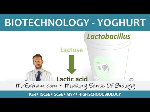 What is the role of bacteria in curd formation?