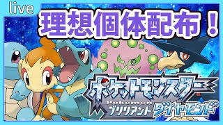 【ポケモンBDSP】5V以上確定！夢ナエトル等の理想個体ポケモンプチ配布！【鴬ノア/Vtuber】