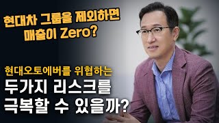 현대오토에버 소프트웨어 산업 성장성과 리스크