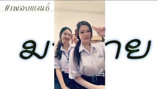 #กำลังฮิตในtiktok Ma` Mind มาม่าย #เพลงแดนช์ สามช่าฮิปโจ๊ะๆ #เพลงฮิตในtiktok By DjBigMyRemix