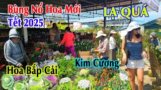 Làng Hoa Sa Đéc 2025 nhiều hoa đẹp lạ mới toanh đón tết Ất Tỵ - Lần đầu tiên thấy Hoa Bắp Cải Tím.!!