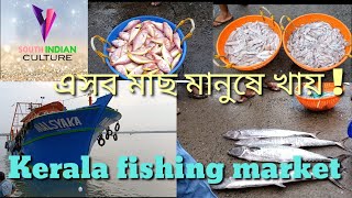 কেরালার মাছের আড়ৎ ||  Kerala fishing harbour in bangla #Fishingmarket