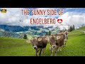 Most beautiful places in Switzerland - Engelberg Brunni 4K