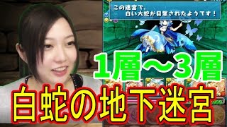 【パズドラ】白蛇の地下迷宮１層～３層【一度きり】【トット】【百々さおり】