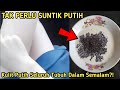 TANPA SUNTIK PUTIH!! KULIT PUTIH SELURUH TUBUH CUMA DALAM SEMALAM?! CARA MEMUTIHKAN WAJAH PERMANEN