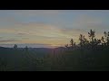 harpscape evergreen sunrise 5 minute peaceful harp and nature video