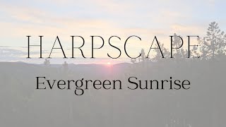 Harpscape: Evergreen Sunrise | 5-Minute Peaceful Harp and Nature Video