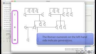 Creating a pedigree chart using f-treeGC