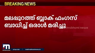 മലപ്പുറത്ത് ബ്ലാക്ക് ഫംഗസ് ബാധിച്ച് ഒരാൾ മരിച്ചു| Mathrubhumi News