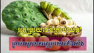 អត្ថប្រយោជន៍គ្រាប់ឈូក! គ្រាប់ឈូកមានអត្ថប្រយោជន៍៦យ៉ាង | News Center