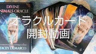 🦚DIVINE　ANIMALS　ORACLE開封動画🐬