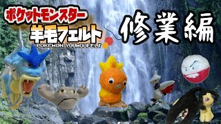 【生収録】『羊毛フェルト』で自作したポケモンしか使えない縛り（最終準備編）