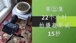 成长的乐趣 第2集 - 22个小时凝聚成的15秒