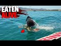 Eaten Alive By Sharks MARATHON 2!