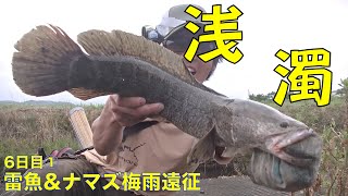 ナマズ\u0026雷魚釣り 梅雨6日目①【264】虫くん釣りch