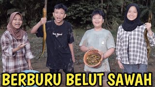 NEKAT BERBURU BELUT RAKSASA DI TENGAH SAWAH BARENG PACAR