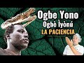 🔥 El Secreto [OGBE YONO] estos CONSEJOS te AYUDARÁ a VIVIRLO (OGBÈ ÌYÓNÚ) OGBE OGUNDA