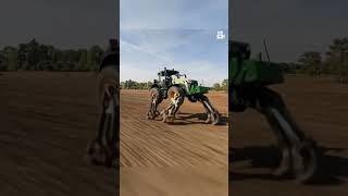 Amazing Power Full Technology Tractor Work #tractor #farming #powertractor #technology #shortvideo