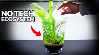 No Tech Ecosystem Vase For Anywhere In Your Home!