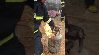 Brave and calm Chinese firefighters 勇敢淡定的消防员