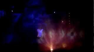 Fantasmic 1