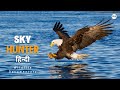 Sky Hunter - हिन्दी डॉक्यूमेंट्री | Wildlife documentary in Hindi