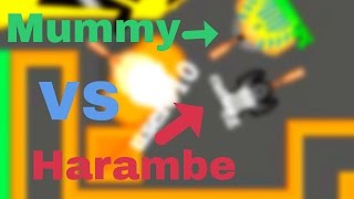 Braains.io - How to hide Like a Pro - Mummy vs Harambe???