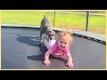 1001 Funny Moments Of Baby And Dogs || 5-Minute Fails