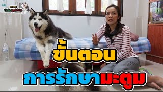 แม่หมิวอธิบายขั้นตอนการรักษามะตูม  | มะขาม ปึกน้อย ลูกข้าวจ้าว  EP.209