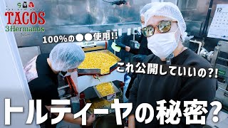 トレスエルマノスのタコスが出来るまで｜トルティーヤ工場の裏側に潜入！