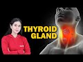 Endocrine System and Adolescence | Thyroid Gland | Biology | Class 8 ICSE | Home Revise