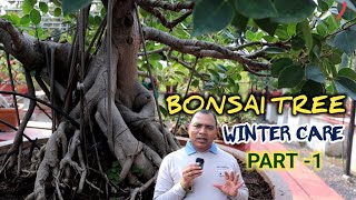 बोनसाई के डॉक्टर ,Dr.C.L.GURJAR SIR के बोनसाई पौधो का कलेक्शन,ओर ठंड में Bonsai Care Tips || Part -1