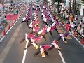 福井大学よっしゃこい「2011 響宴」 フェニックス祭り パレード北会場1