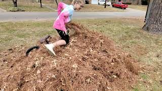 Bmx kids vs. straw pile