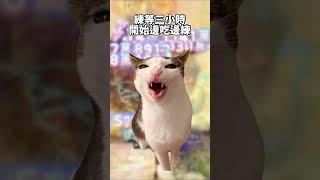 練等的我 #新楓之谷 #cat #meme #練等 #貓 #可愛