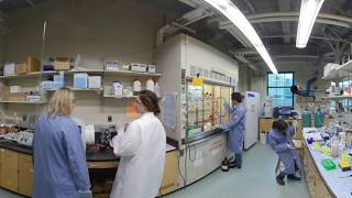 UConn Chemistry Research Lab - 360° Video