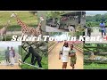 Port lympne safari park, Kent England #viralvideo  #africansafari #tourofafrica