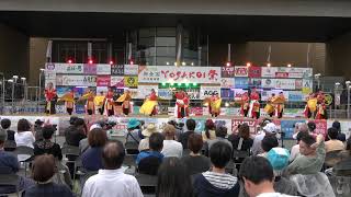 御食国若狭おばまYOSAKOI祭2019　若狭鳴子連　希来里