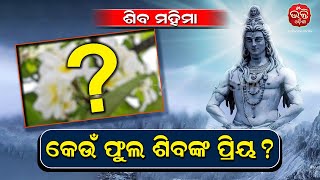 କେଉଁ ଫୁଲ ଶିବଙ୍କ ପ୍ରିୟ | Bhakti Odisha