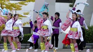 桜道里 紫衣羅☆鳥取酒まつり 2021TOTTORI  SAKE  FES