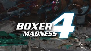 BOXER MADNESS 4 | Clark City