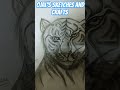 Tiger sketch by Ojal Sketches and crafts