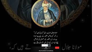 New Sufi WhatsApp Status | Rumi Kalam | Rumi Quotes | Sufism | Sufi Status | Sufi Poetry