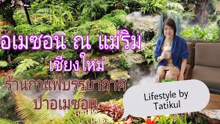 Ep.95 อเมซอน​ ณ​ แม่ริม​ เชียงใหม่​ ร้านกาแฟ​ในบรรยากาศป่าอเมซอน​ ☕🌳🌵🌿  ต้องแวะ Amazon Cafe​@Mae Rim