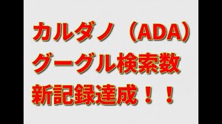 カルダノ（ADA）の全世界グーグル検索数が新記録達成！！投資家たちの関心を引きつけるものとは？！