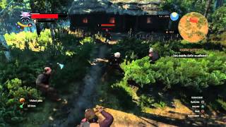 The Witcher 3: Wild hunt - Sword fight (PS4)