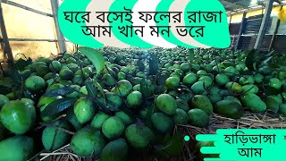 রংপুর পদাগঞ্জের দেশ বিখ্যাত হাড়িভাঙ্গা আম |