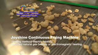 pig skin continuous fryer machine | seafood frying machine  |  food  industrial fryer price