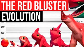 Evolution of The Red Bluster | Life Cycle