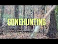 Poland Driven hunt/Drückjagd/drivjagt - SHOTKAM/GOPRO - GoneHunting